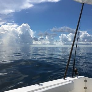 Meet your Posher, Stacey